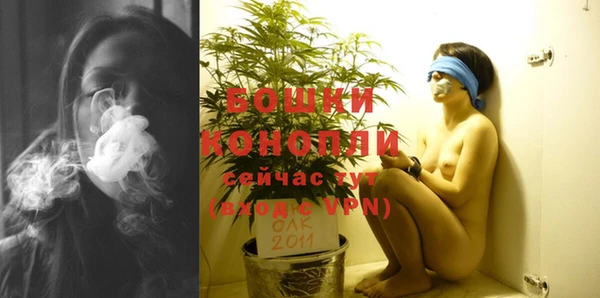молекула духа Ельня