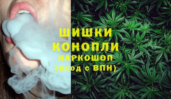 спайс Новодвинск