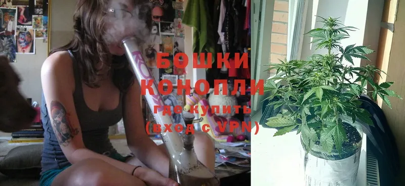 цена   Осташков  Шишки марихуана OG Kush 